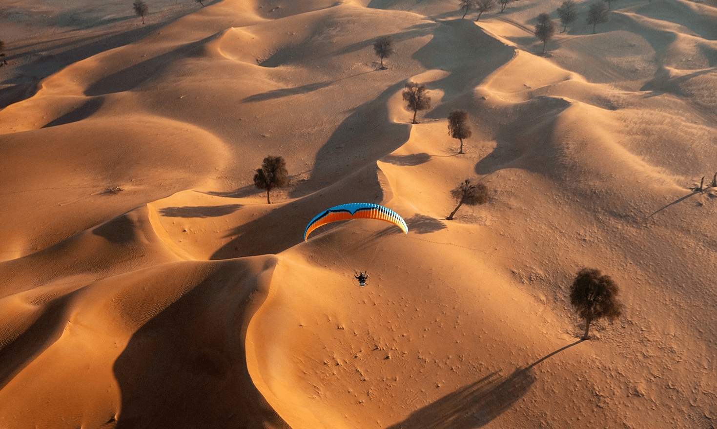 dubai atom 80 vittorazi motors emilia plak