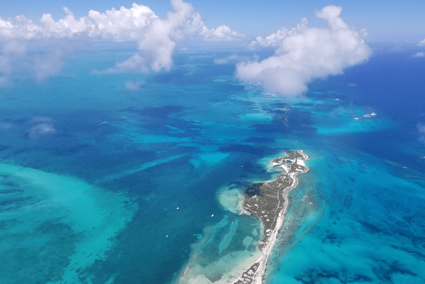 tucker gott vittorazi motors moster 185