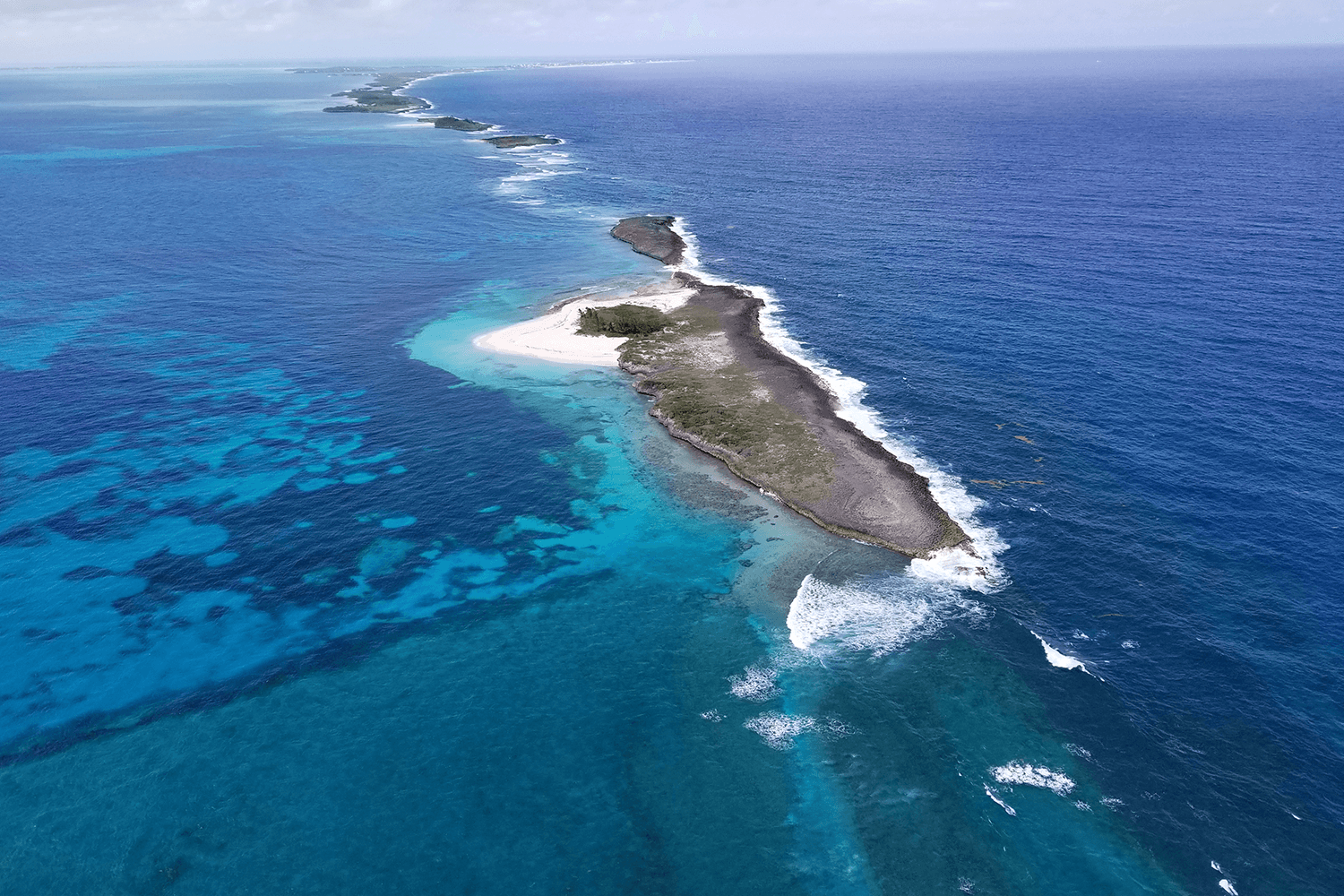 tucker gott vittorazi motors moster 185